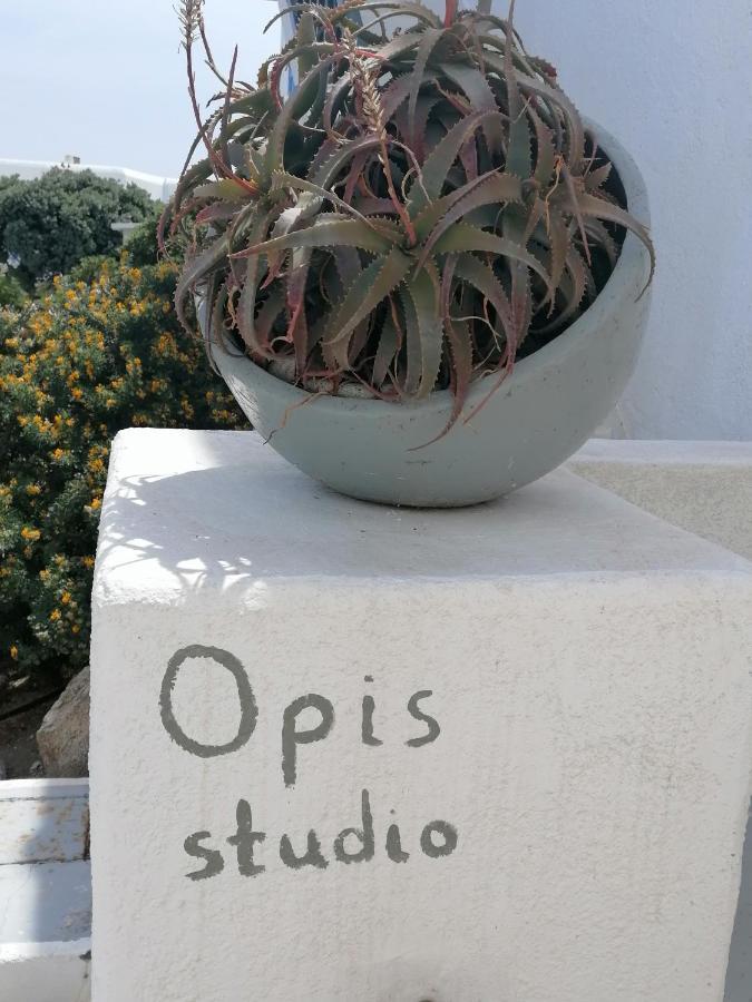 Opis Studio Ορνός Εξωτερικό φωτογραφία